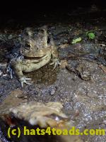 /home//u458753944/public_html/sourcegallery//McKaig Nature Center/2020-09-27/P9270745.JPG